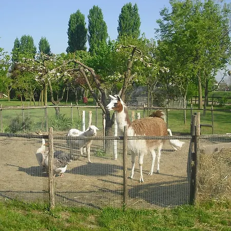 Agriturismo La Penisola